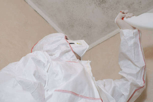 Attic Mold Removal in Reynoldsburg, OH